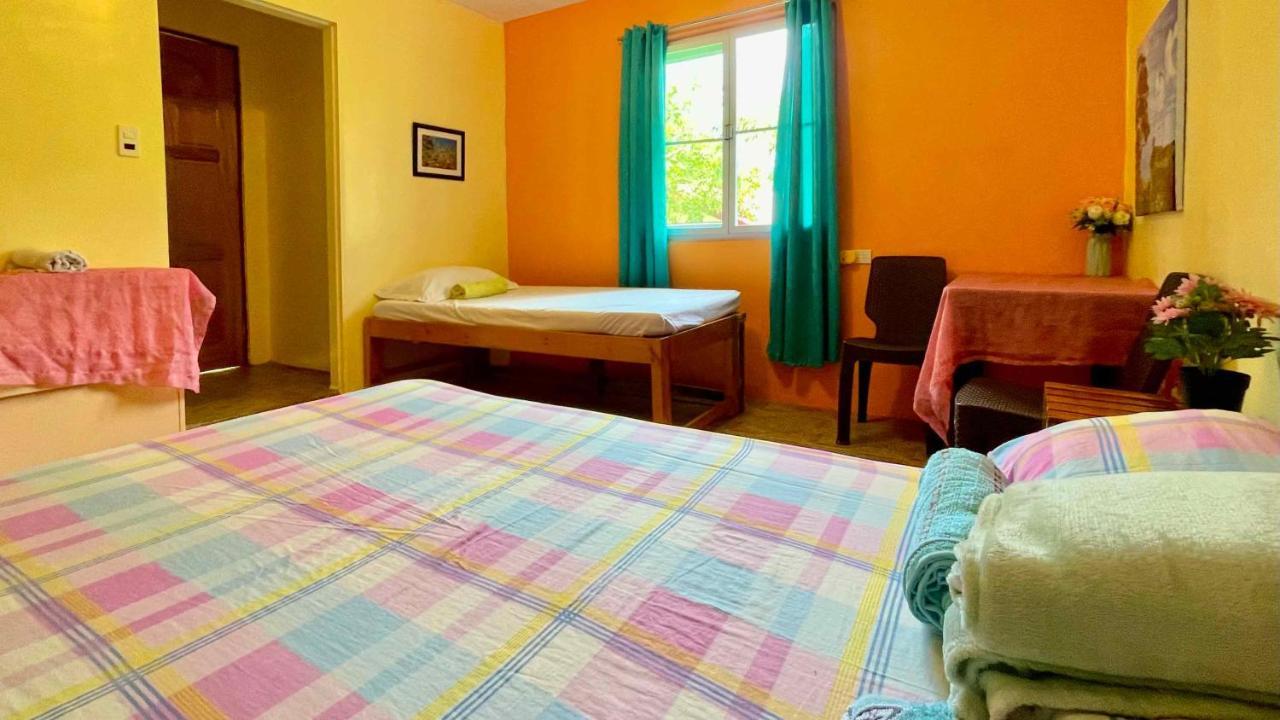 Blue Moon Guesthouse Puerto Princesa Esterno foto