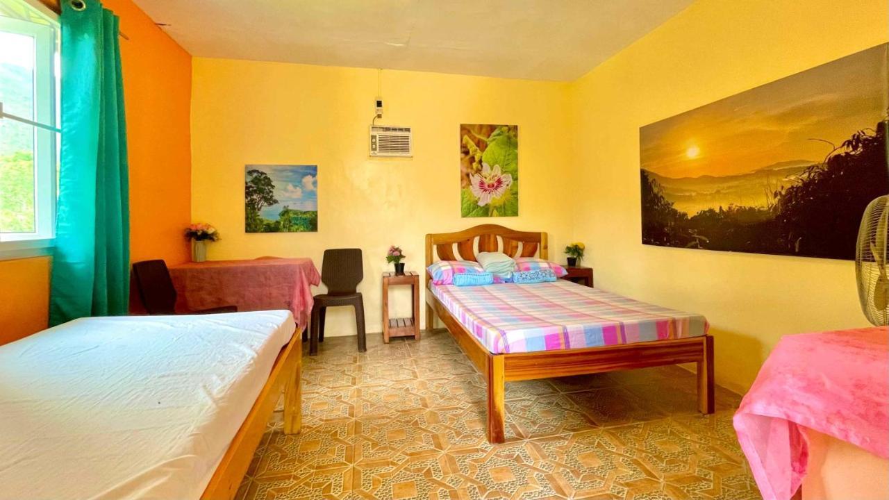 Blue Moon Guesthouse Puerto Princesa Esterno foto