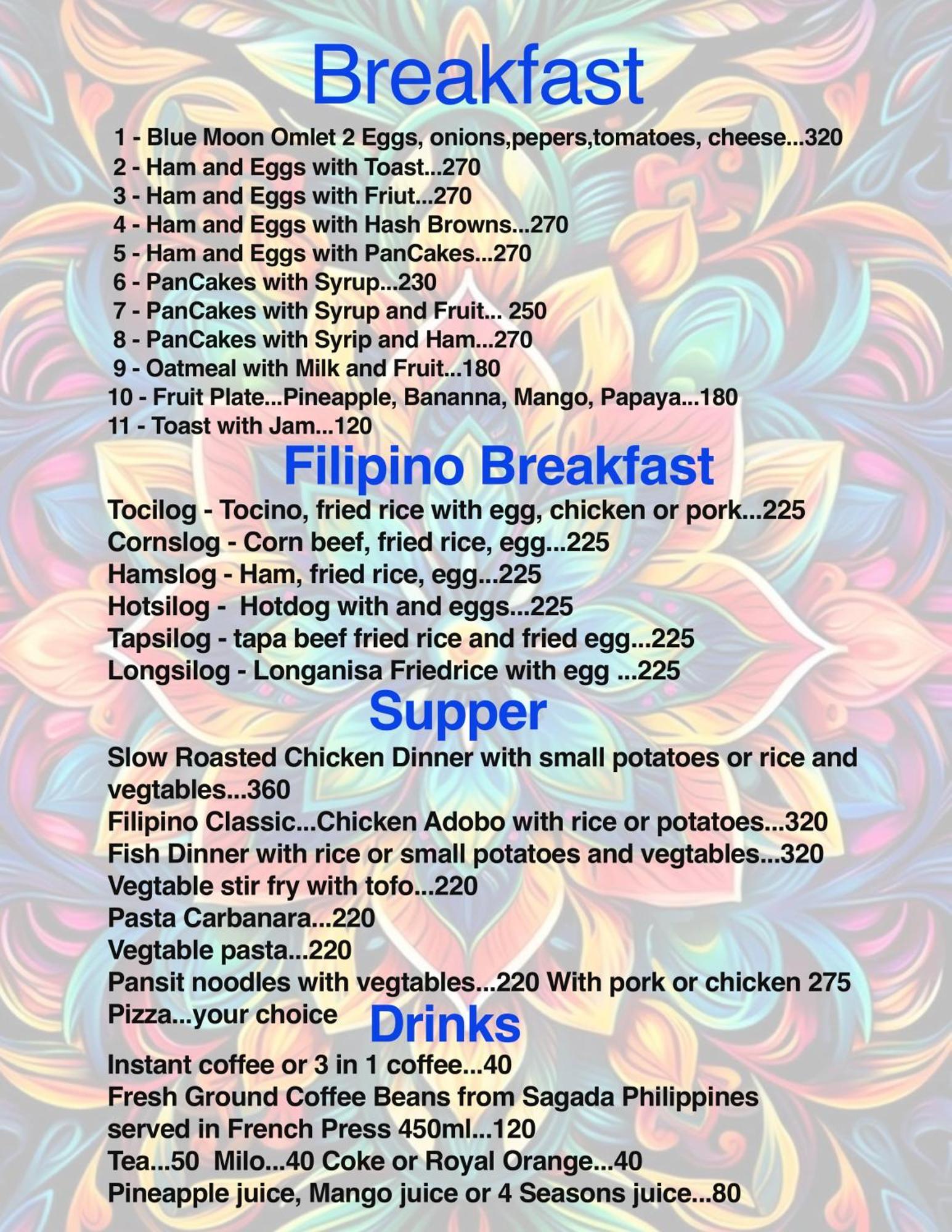 Blue Moon Guesthouse Puerto Princesa Esterno foto